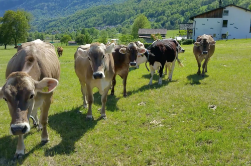 Schermata 2019-05-24 alle 10.18.02