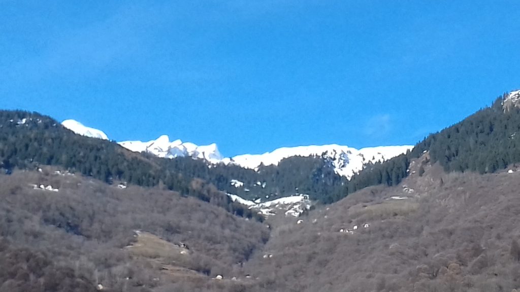 la donna addormentata, 5 dicembre 2019