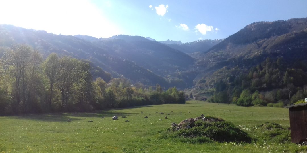 23.04.2020 17