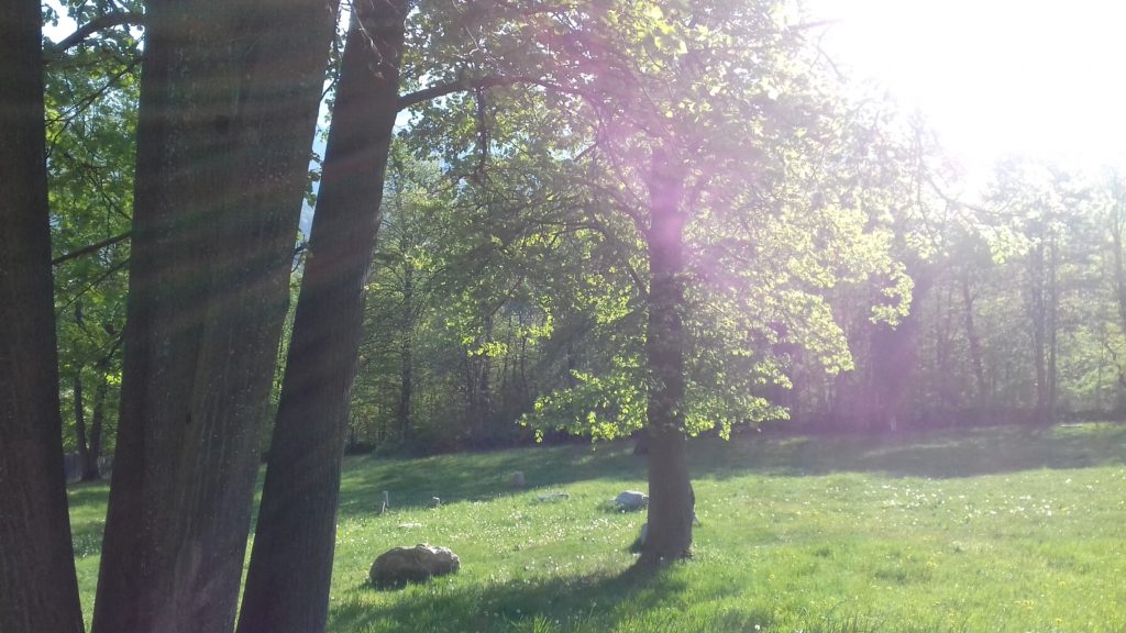 23.04.2020 18