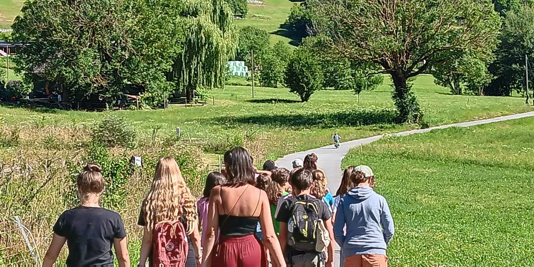Visita ai pony di Nicole Vescovi