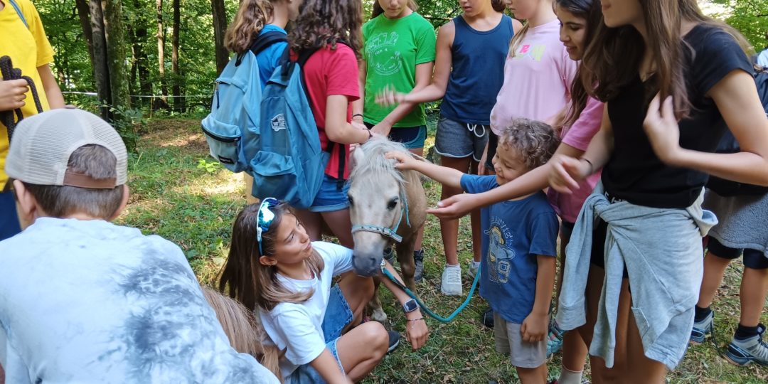 «Mi è piaciuta la compagnia, il cibo, i monitori, il posto e le attività.Tutto quello che abbiamo fatto, detto e raccontato. GRAZIE ♥» Delma, 11 anni